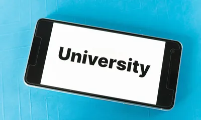 Pre-designed Learn Chinese Website for Sale