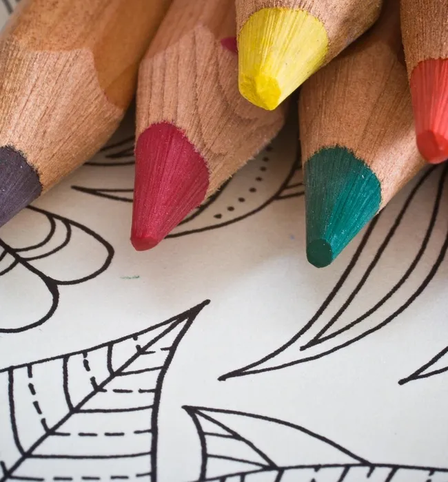 learn to draw website for sale