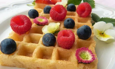 Pre Made Gluten Free Recipes Website for Sale