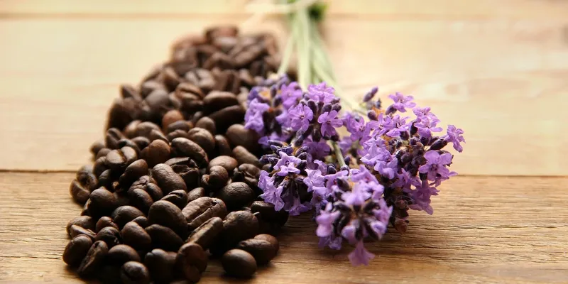 acne remedies information