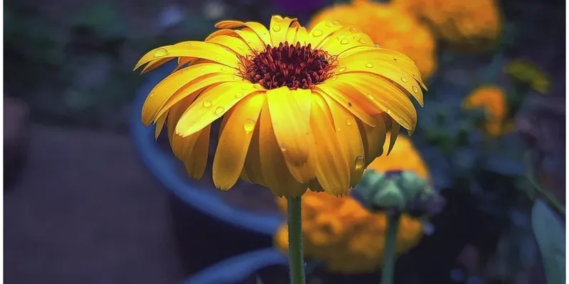Video Marketing Background video marketing background