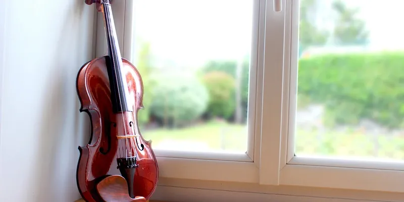 Learn Violin What learn violin what