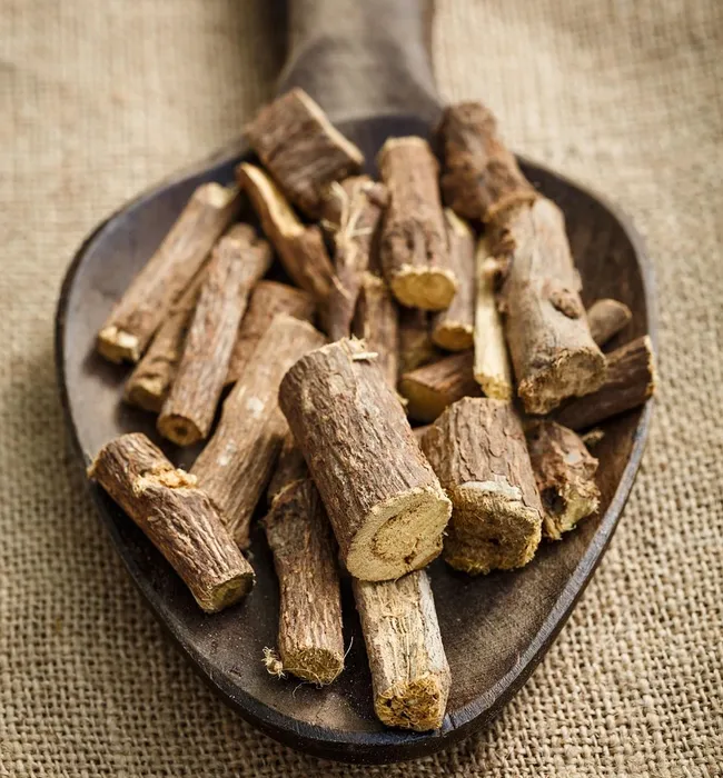 fibromyalgia remedy website for sale