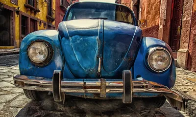 Ready-made Seized Car Auctions Website for Sale