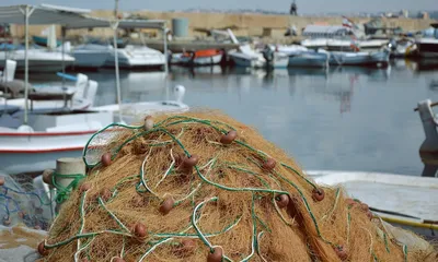 Pre-created Extreme Fishing Website for Sale