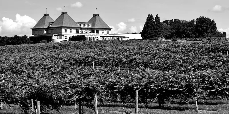 wine making basics