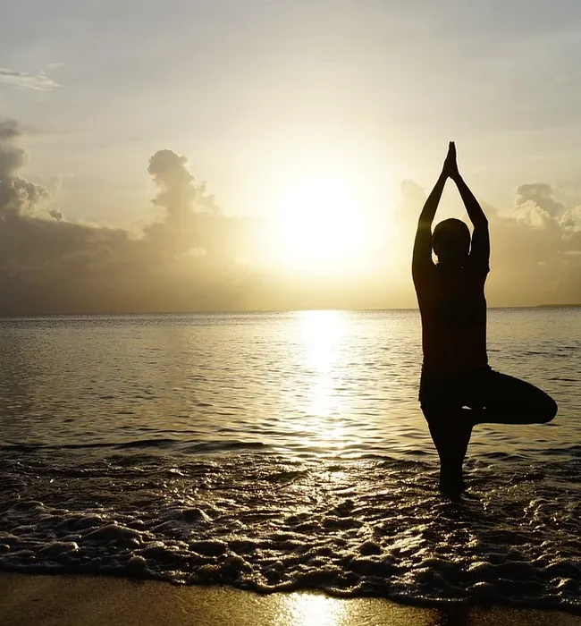 Pre-designed Yoga Website for Sale yoga website for sale
