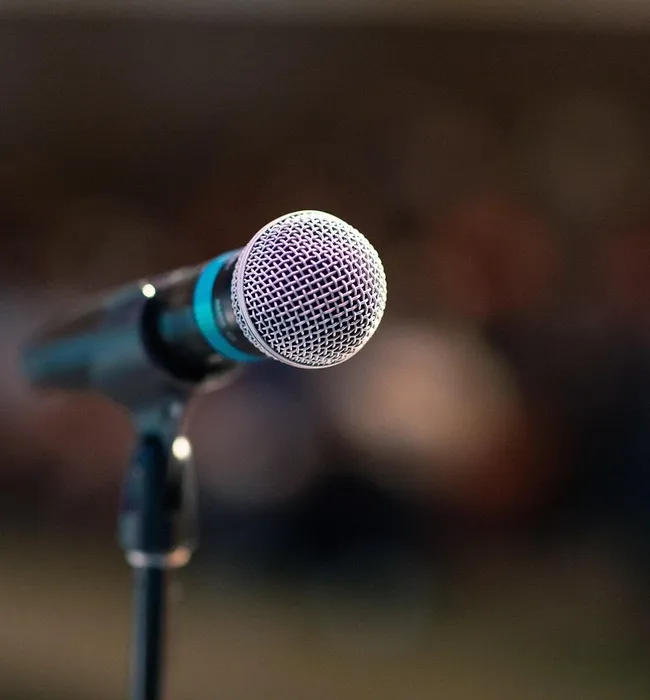 Ready Made Public Speaking Website for Sale public speaking website for sale