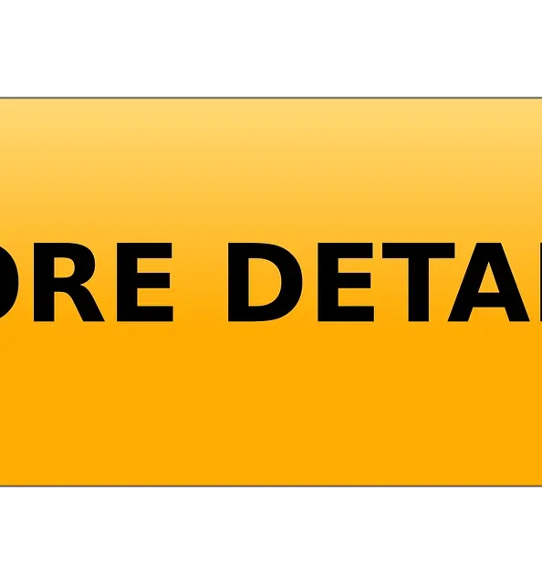 Ready-to-use Public Records Website for Sale public records website for sale
