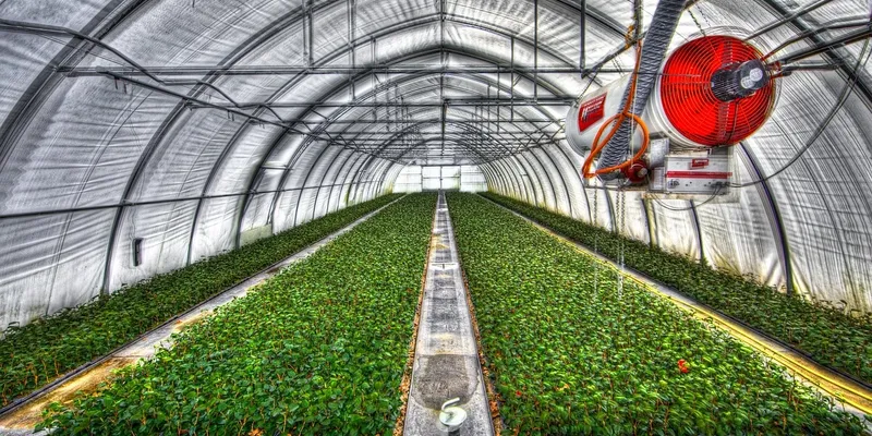 Vegetable Gardening About vegetable gardening about
