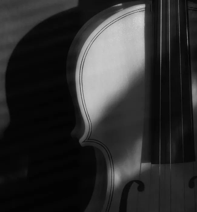 Ready-to-Install Learn Violin Website for Sale learn violin website for sale