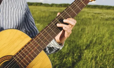 Premade Learn Guitar Website for Sale