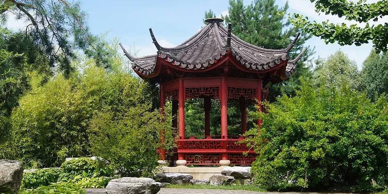 Learn Chinese Site For Sell Template learn chinese site for sell template