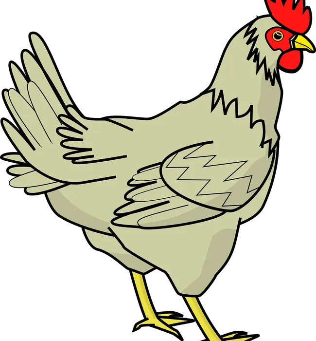 Pre-built Chicken Coop Website for Sale chicken coop website for sale